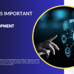 How SEO is important web development